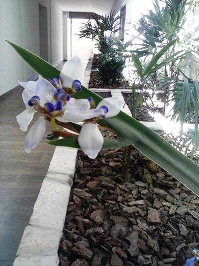 Hotel Luz Fronteira ภายนอก รูปภาพ